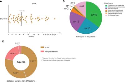 High-throughput sequencing unravels the cell heterogeneity of cerebrospinal fluid in the bacterial meningitis of children